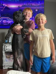Reunited Male Dog last seen Bagley Middle School, Murray County, GA 30724