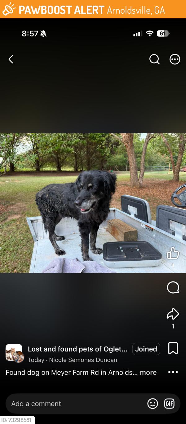 Found/Stray Female Dog last seen Arnoldsville ga, Arnoldsville, GA 30683