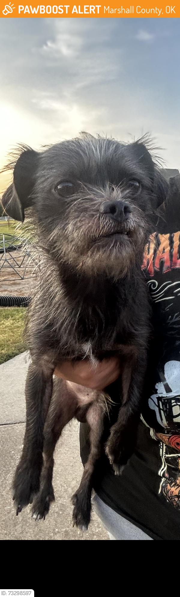 Found/Stray Male Dog last seen Huebsch road going towards ardmore ok, Marshall County, OK 73446