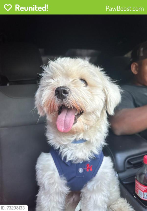 Reunited Male Dog last seen Near 1st St, Fayetteville, NC 28311, USA, Fayetteville, NC 28311