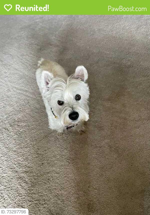 Reunited Female Dog last seen John F Kennedy High School & Keel Court, Sacramento, CA 95831