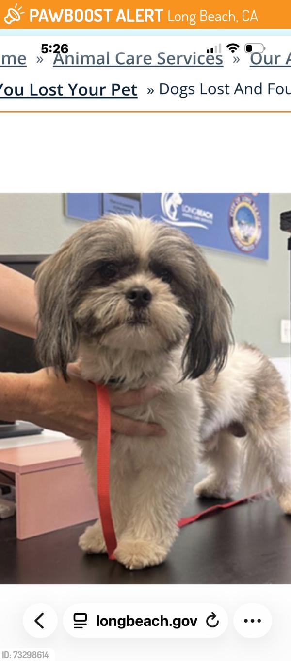 Found/Stray Male Dog last seen South street and deforest, Long Beach, CA 90805