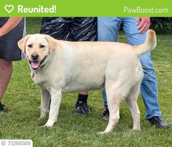 Reunited Male Dog last seen Glen Eden, Cranberry Township, PA 16066