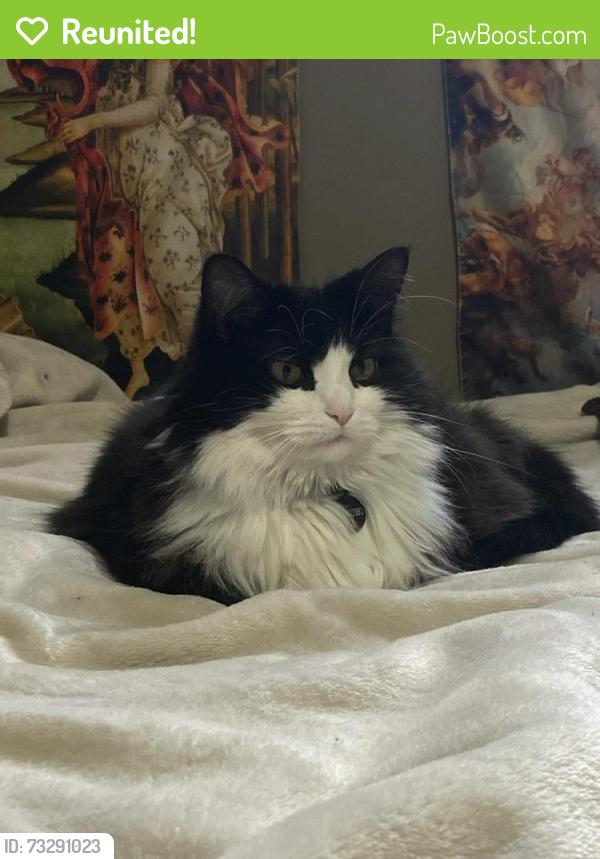 Reunited Female Cat last seen Rainbow crescent, Sherwood Park, AB T8A 5W2