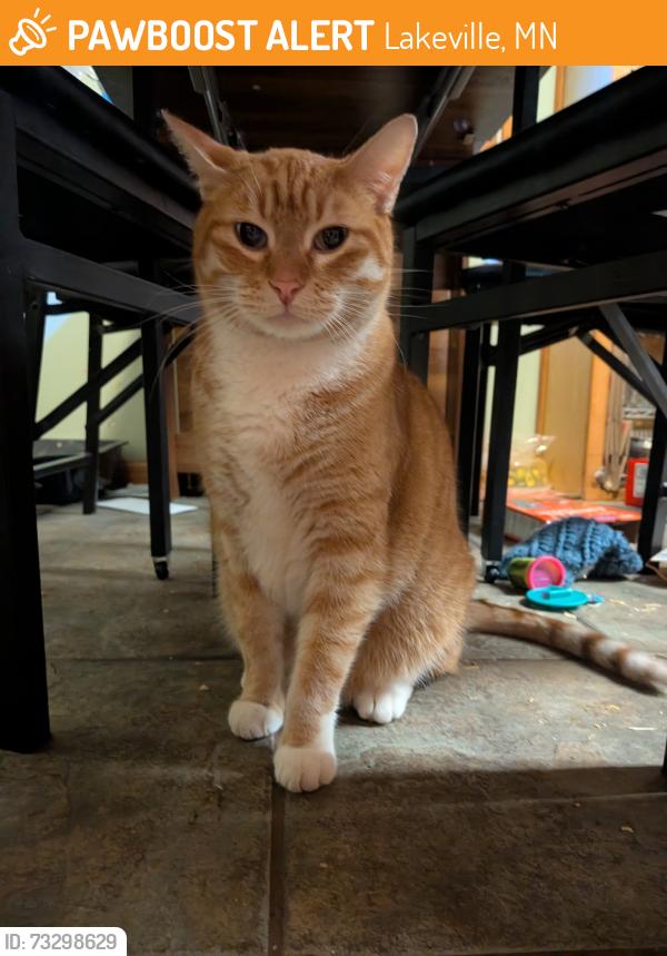 Found/Stray Male Cat last seen Lakeville, Lakeville, MN 55068
