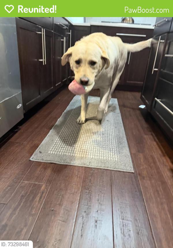 Reunited Male Dog last seen Glen Eden road sunset circle, Cranberry Township, PA 16066