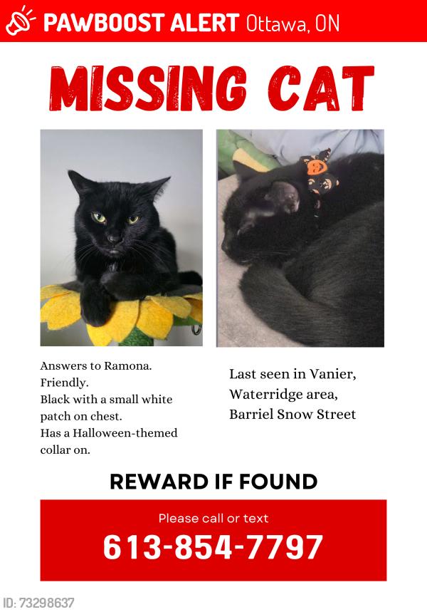 Lost Female Cat last seen Barielle-Snow st, Ottawa, ON 