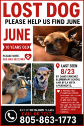 Reunited Female Dog last seen La vista apmts, Santa Maria, CA 93458
