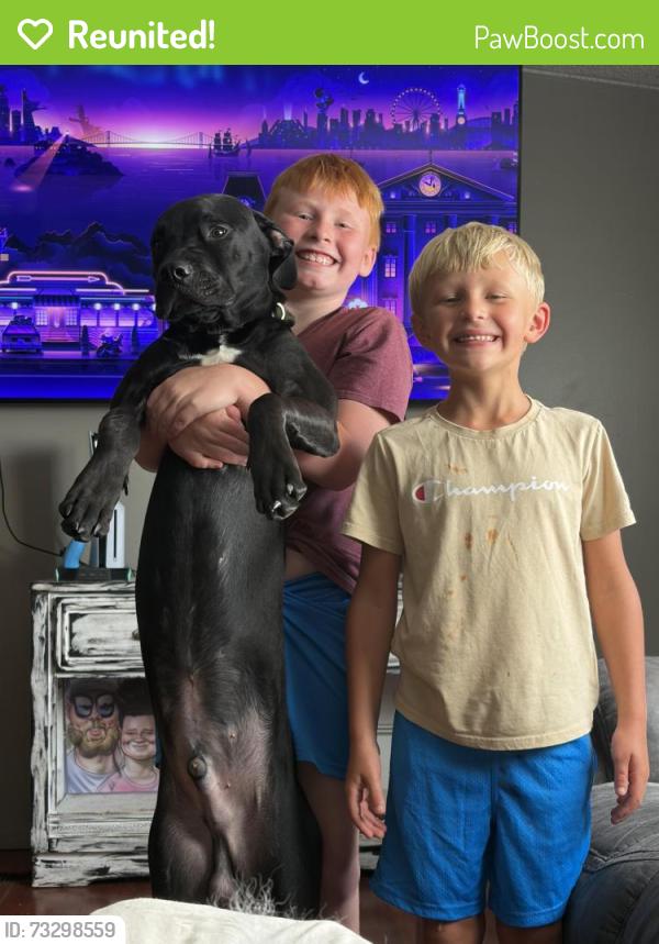 Reunited Male Dog last seen Bagley Middle School, Murray County, GA 30724