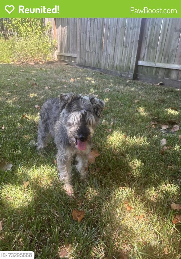 Reunited Male Dog last seen Atascocita Springs Elementary, Atascocita, TX 77346