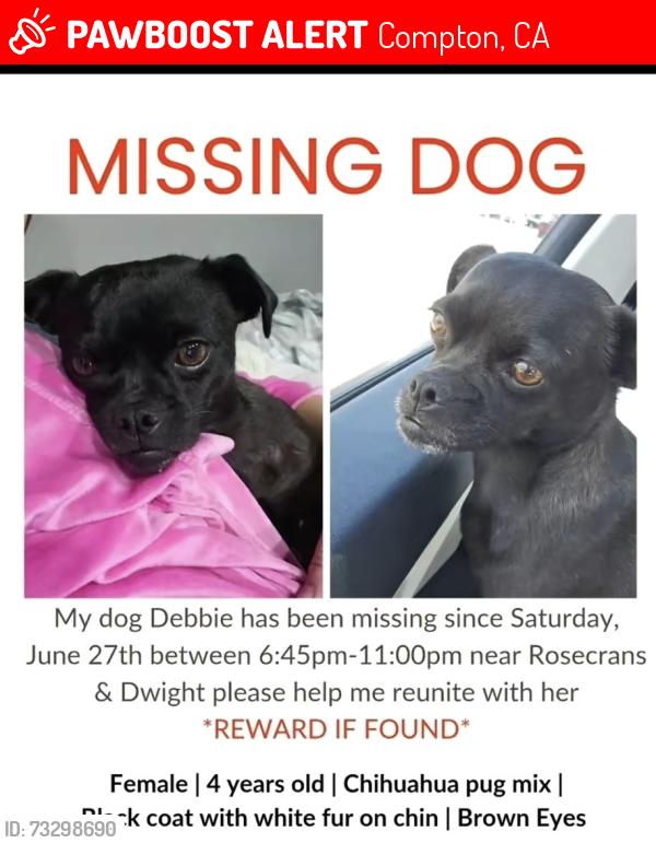 Lost Female Dog last seen Dwight and Rosecrans, Compton, CA 90222
