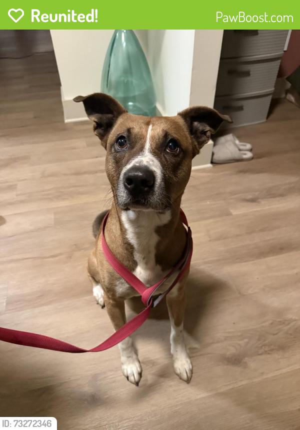 Reunited Male Dog last seen W Oak St, Selma, NC 27576, USA, Selma, NC 27576