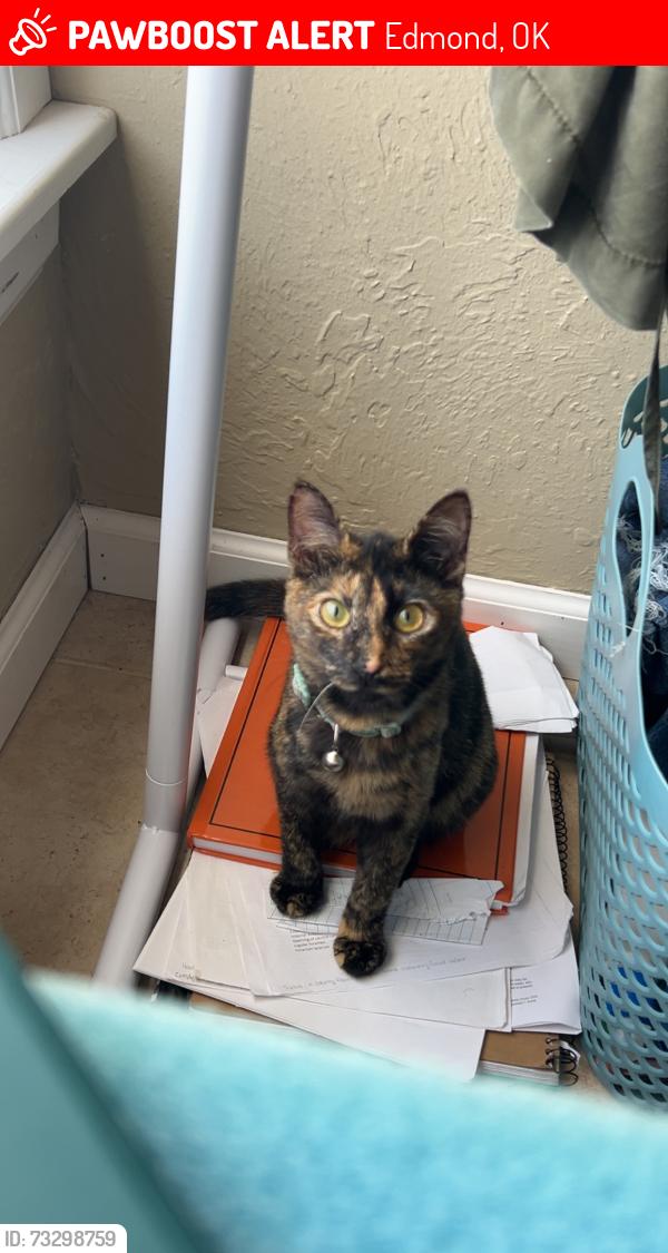 Lost Female Cat last seen Ayres street, Edmond, OK 73034
