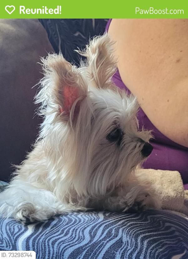 Reunited Unknown Dog last seen 68th se cooper, Portland, OR 97206