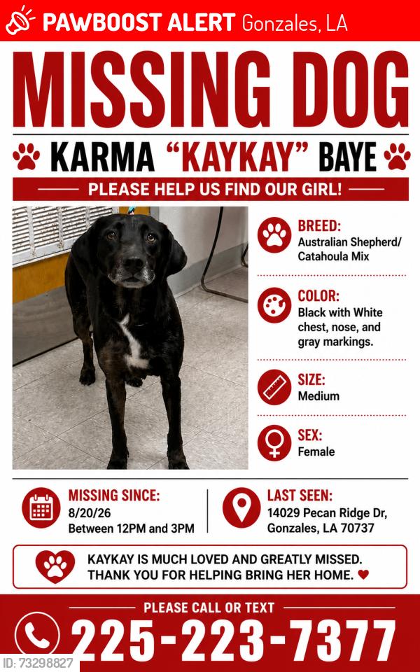 Lost Female Dog last seen Central Primary School, Gonzales, LA 70737