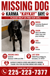Lost Female Dog last seen Central Primary School, Gonzales, LA 70737
