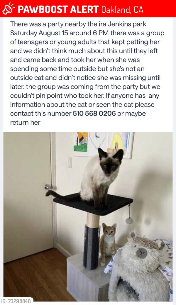 Lost Female Cat last seen Efes, Oakland, CA 94603