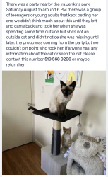 Lost Female Cat last seen Efes, Oakland, CA 94603