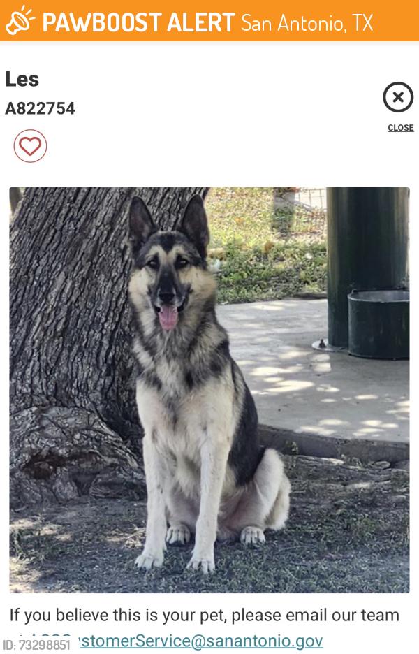 Found/Stray Male Dog last seen Near old pearsall road, San Antonio, TX 78243