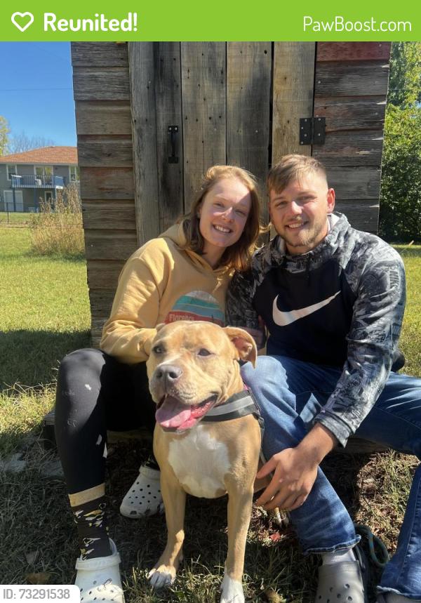 Reunited Female Dog last seen 5th St and Mckeage ave, Hoyt Ks, Hoyt, KS 66440