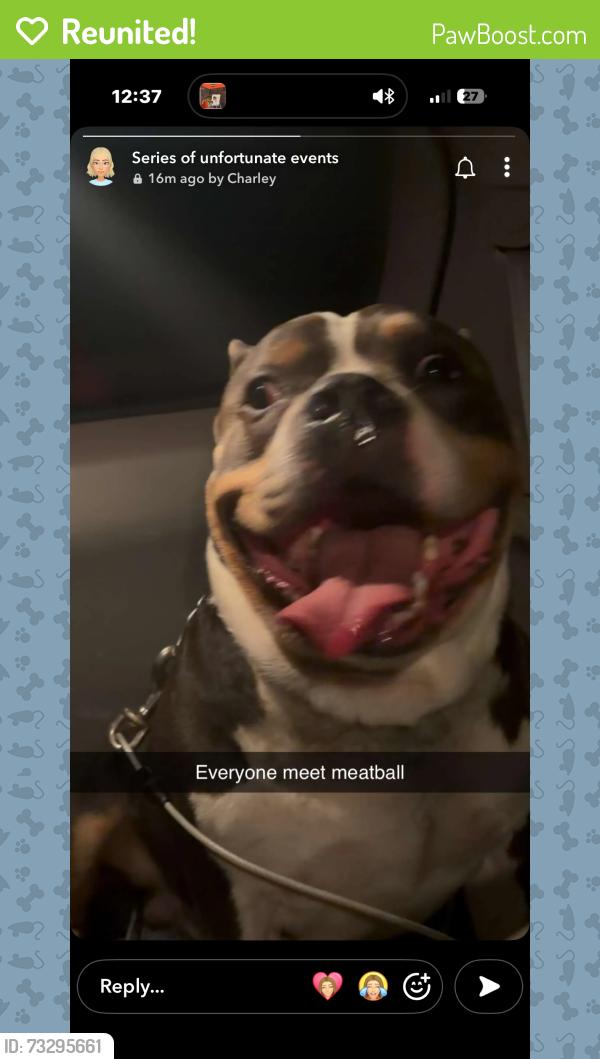 Reunited Male Dog last seen Mithoffer and Rawles, Cumberland, IN 46229