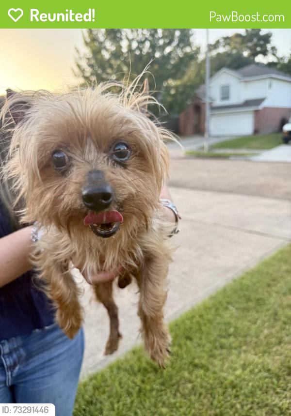 Reunited Male Dog last seen Crystal cove circle, Houston, TX 77070