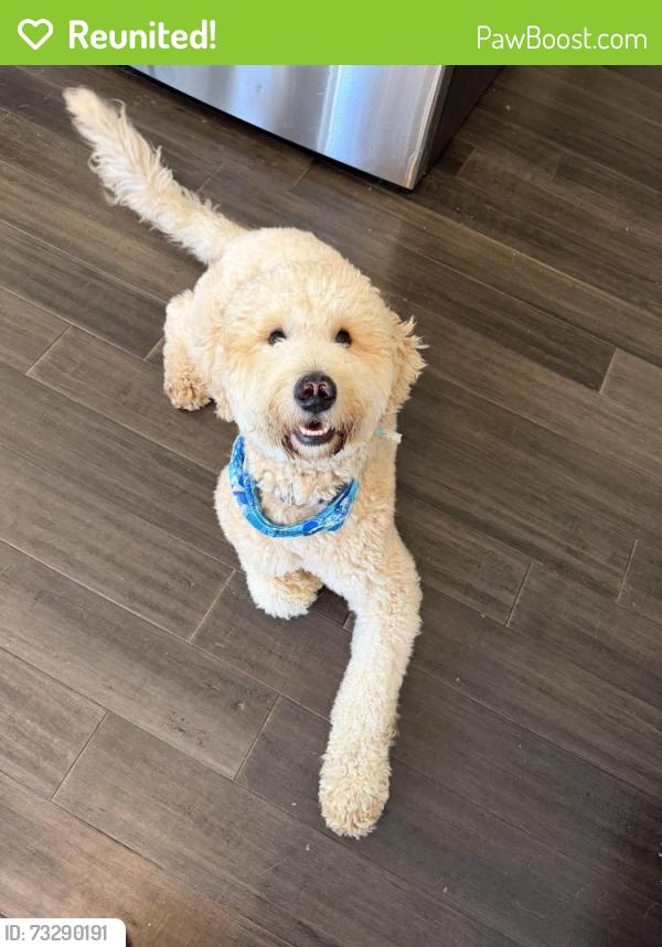 Reunited Male Dog last seen James taylor road, Moody, AL 35004