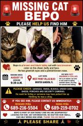 Lost Male Cat last seen West Point Villas Blvd, near W Colonial Dr, Winter Garden, FL, Winter Garden, FL 34787