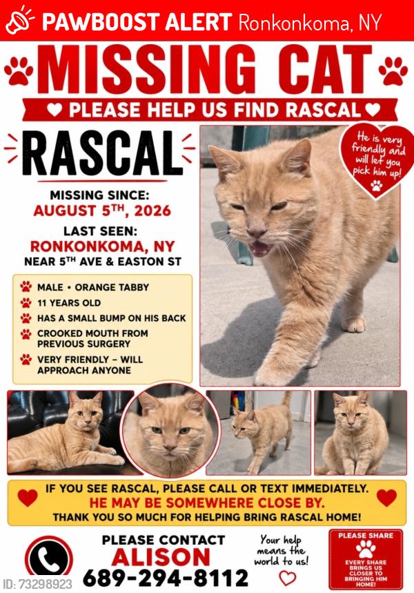Lost Male Cat last seen 1st Ave & Easton St, Ronkonkoma, NY 11779