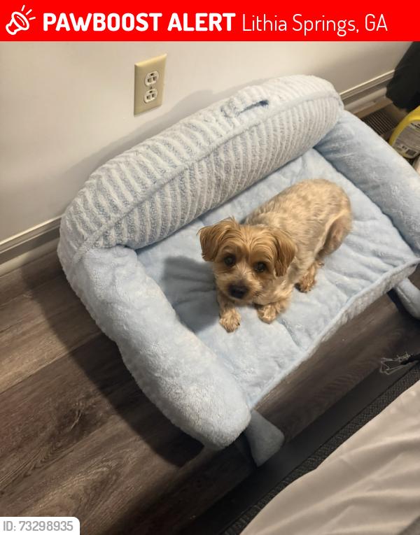 Lost Male Dog last seen Near Miller Street Lithia Springs, Ga, Lithia Springs, GA 30122