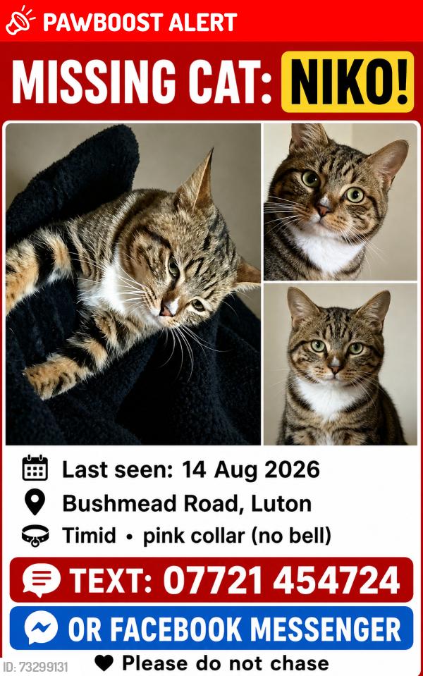 Lost Male Cat last seen Fairford Avenue Roundabout, Bushmead Primary School, Bushmead Medical Centre, The Co-operative Food on Hancock Drive, Fairford Avenue bus stop, Bushmead Primary School bus stop, Luton, England LU2 7EU