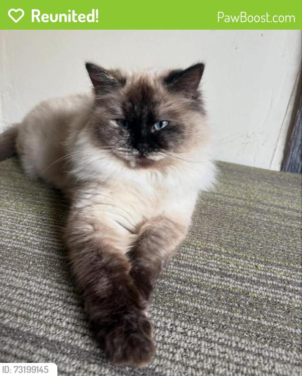 Reunited Female Cat last seen Raymond Rd near Muir Field/South Gammon Rd, Madison, WI 53719