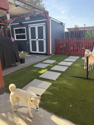 Reunited Female Dog last seen Johnson Ave and Lemon Ave, El Cajon, CA 92020