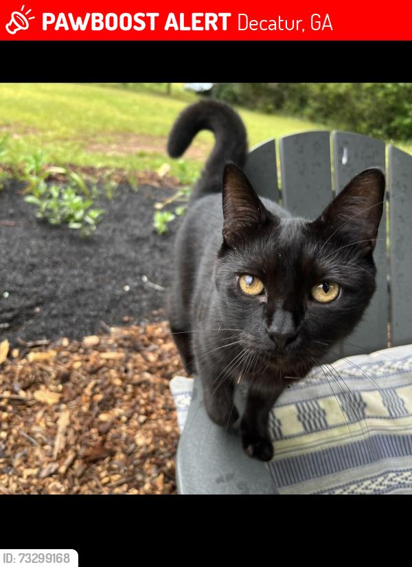 Lost Male Cat last seen valley brook road and fantasy lane, Decatur, GA 30033