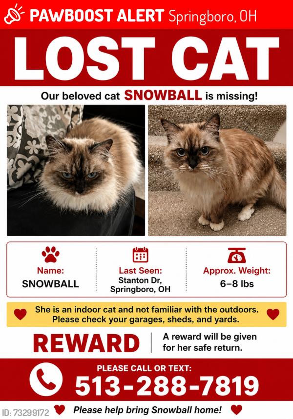 Lost Female Cat last seen Stanton dr, Springboro, OH 45066