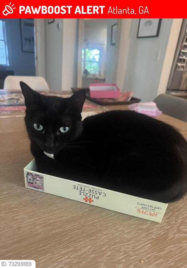 Lost Female Cat last seen S Gordon. And Westmeath, Atlanta, GA 30310