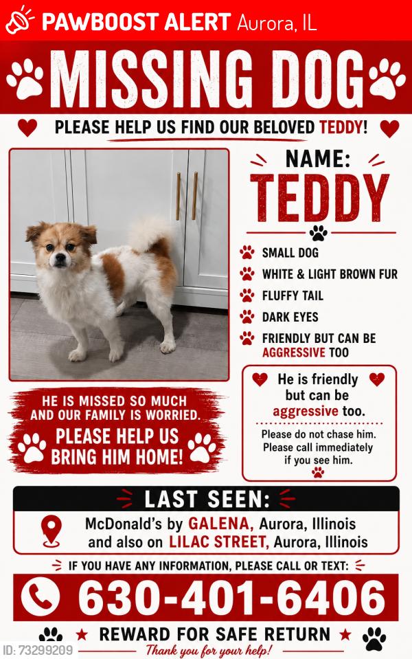 Lost Male Dog last seen Aurora illinois, Aurora, IL 60506