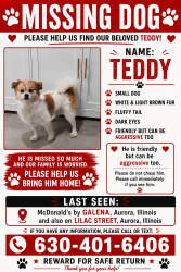 Lost Male Dog last seen Aurora illinois, Aurora, IL 60506