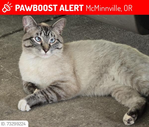 Lost Male Cat last seen Near Sw Booth Bend rd, McMinnville, Oregon 97128, McMinnville, OR 97128