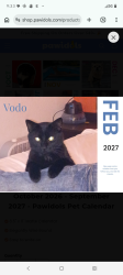 Lost Male Cat last seen Hoyt and dieter street, Saint Paul, MN 55106