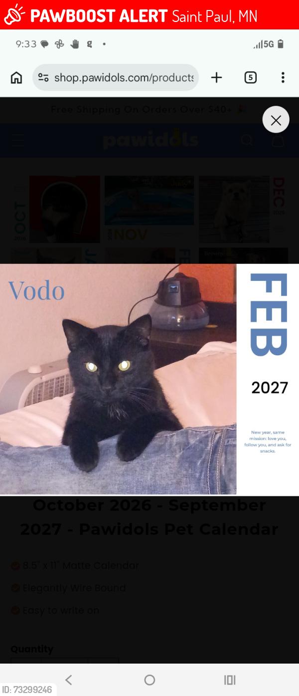 Lost Male Cat last seen Hoyt and dieter street, Saint Paul, MN 55106