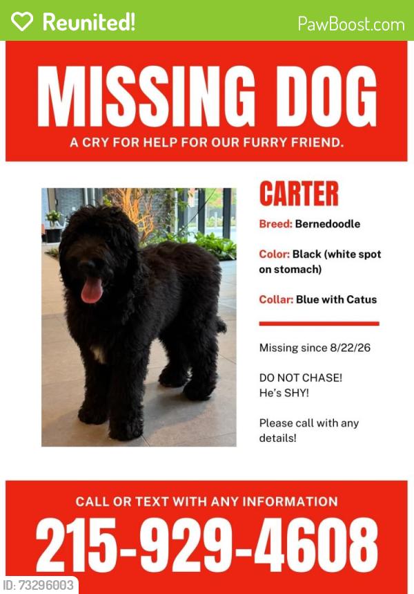 Reunited Male Dog last seen Near 18th st., Philadelphia, PA 19130