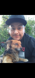 Lost Male Dog last seen Orange & pioneer ave, Redlands, CA 92374