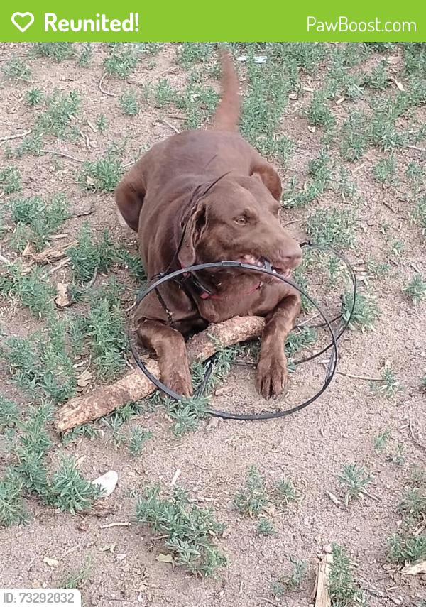 Reunited Male Dog last seen 23rd and Alexander Ave, Cheyenne, WY 82001