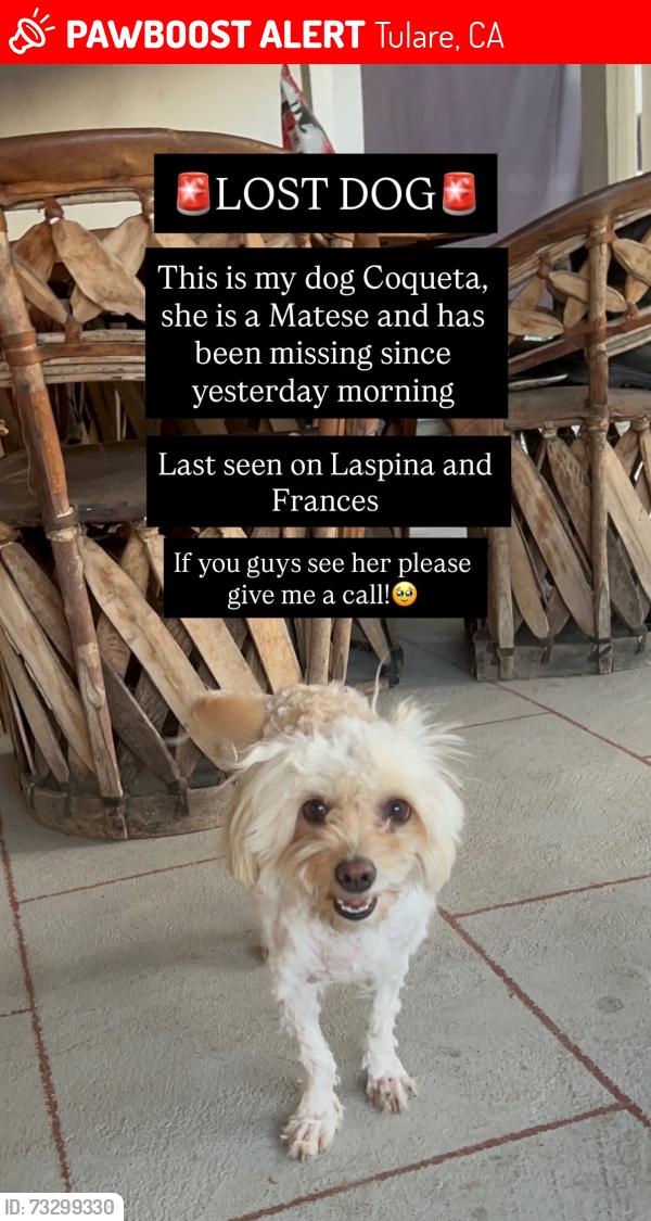 Lost Female Dog last seen Laspina and Frances, Tulare, CA 93274