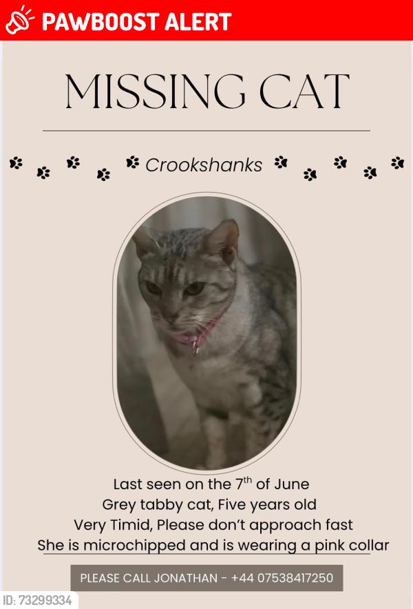 Lost Female Cat last seen Hook Road, Hampshire, England SO51 9AU