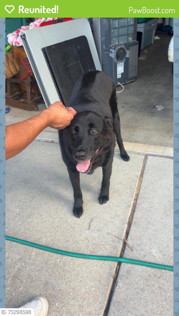 Reunited Male Dog last seen Near E Fargo Pl, Broken Arrow, OK 74012, USA, Broken Arrow, OK 74012