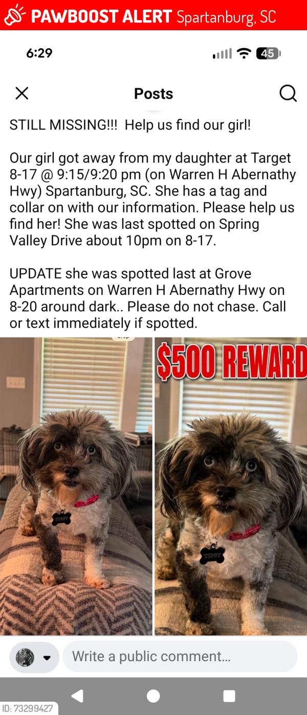 Lost Female Dog last seen Grove apmts, Spartanburg, SC 29301