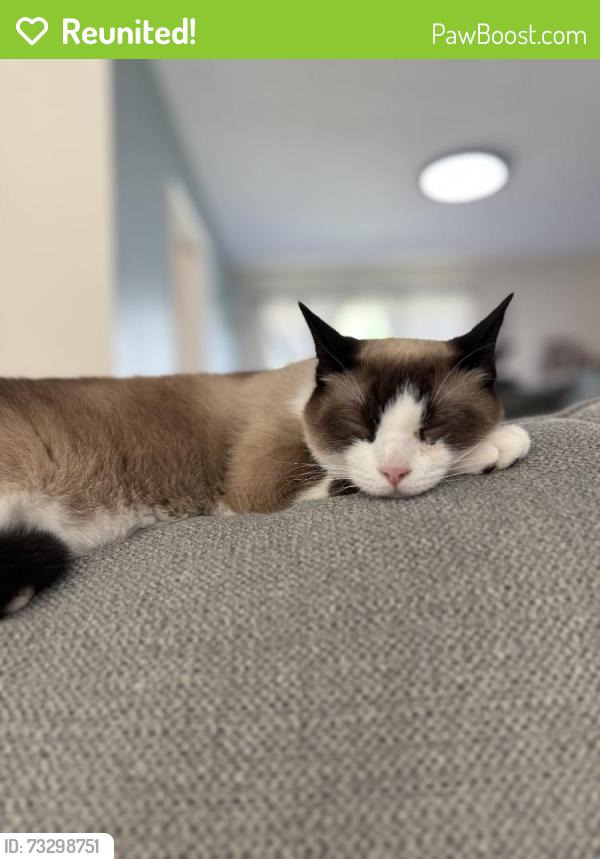 Reunited Male Cat last seen Near Kennington Ct, Huffman, TX 77336, USA, Huffman, TX 77336