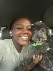 Reunited Male Dog last seen Bunker Hill/Edgewood, Jacksonville, FL 32208
